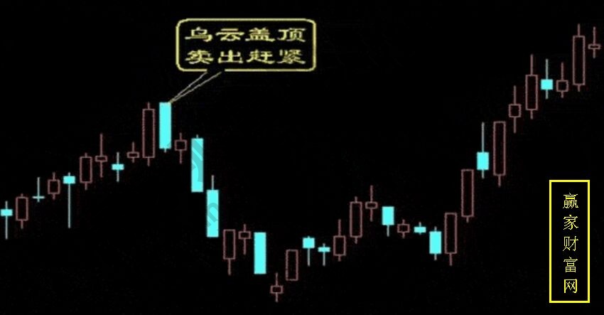 长春社会保险局的位置及联系方式